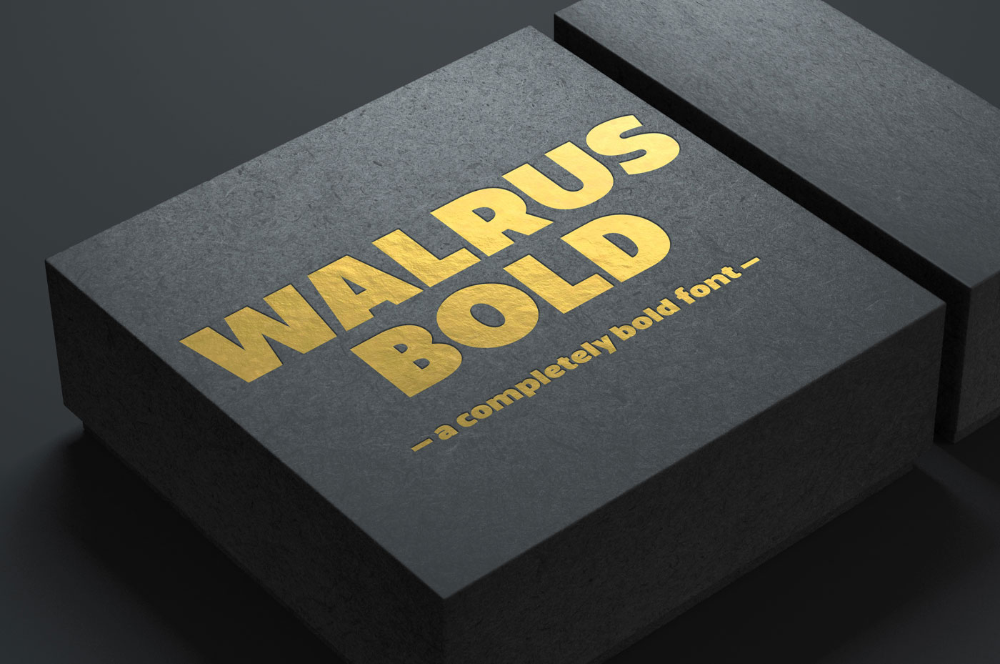 Walrus bold font